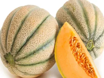 Muskmelon: From Taste to Health – Discover Its Countless Benefits