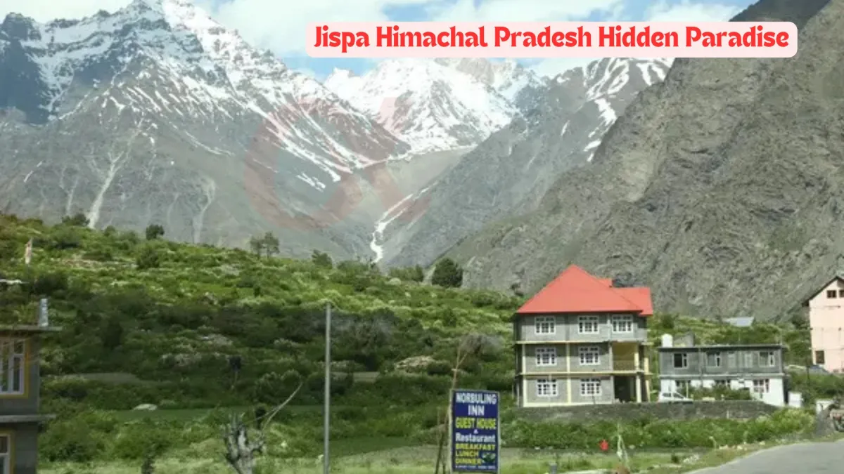 Jispa Himachal Pradeshs Hidden Paradise