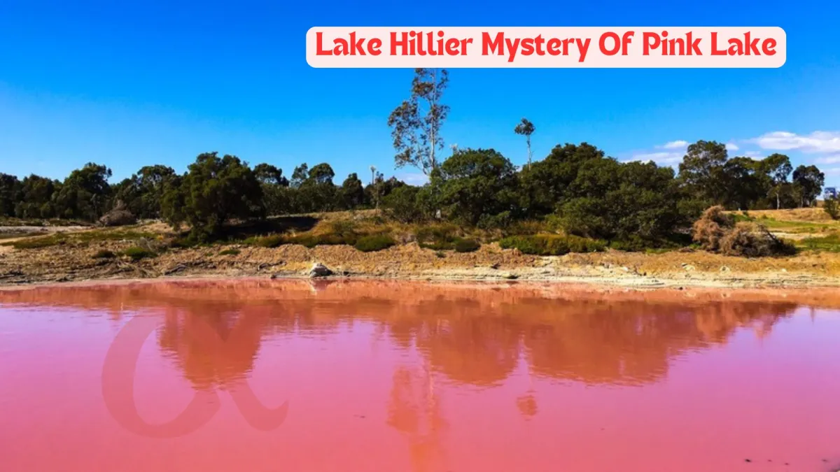 Lake Hillier Mystery Of Pink Lake