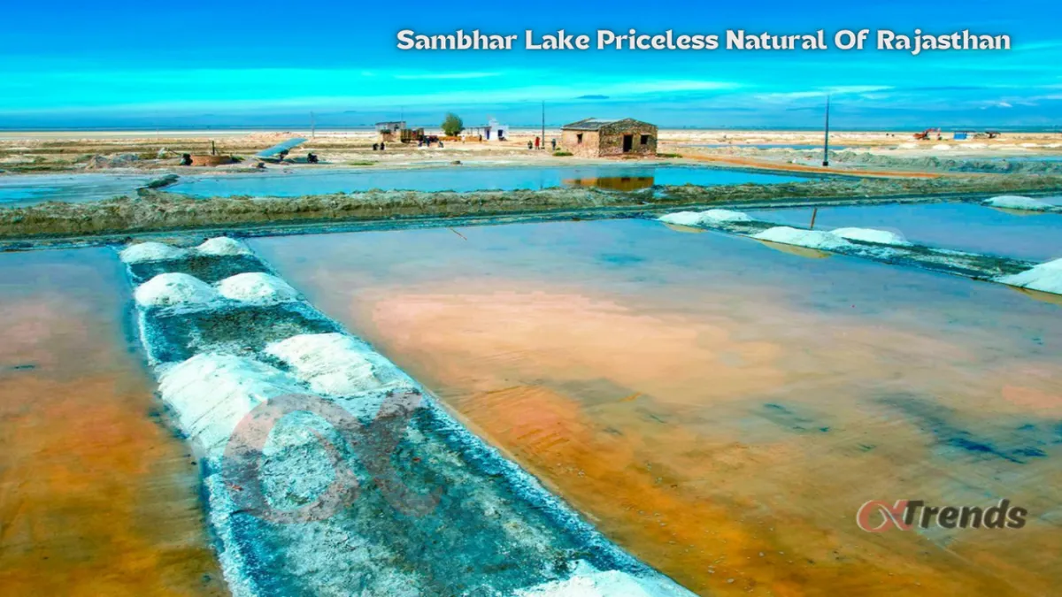 Sambhar Lake Priceless Natural Treasury Of Rajasthan