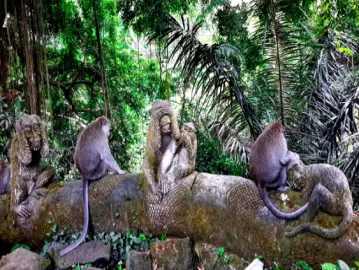  Sacred Monkey Forest: The Kingdom of Monkeys in a Mysterious Forest