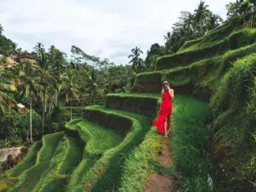 Ubba Market: The Heartbeat of Bali