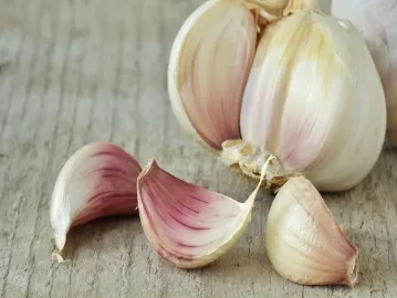 Garlic (लहसुन) Health Benefits,: स्वस्थ जीवन के लिए एक प्राकृतिक वरदान