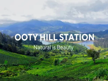 Ooty: तमिलनाडु का सुरम्य हिल स्टेशन और पर्यटन स्थल