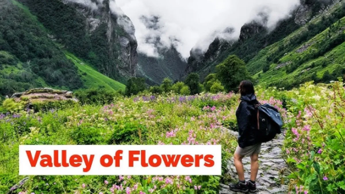 Valley Of Flowers Uttarakhand 