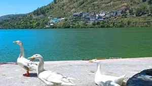 Nainital: नैनीताल झीलों का शहर और प्राकृतिक सुंदरता का खजाना