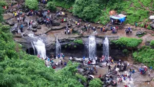 Bhivpuri Waterfall : नेचर लवर्स के लिए मानसून की खास जगह