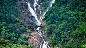 Dudhsagar Waterfall: दूधसागर जलप्रपात गोवा का अद्भुत प्राकृतिक नज़ारा