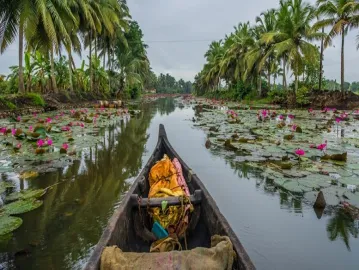 Kumarkom Confluence Of Nature And Adventure