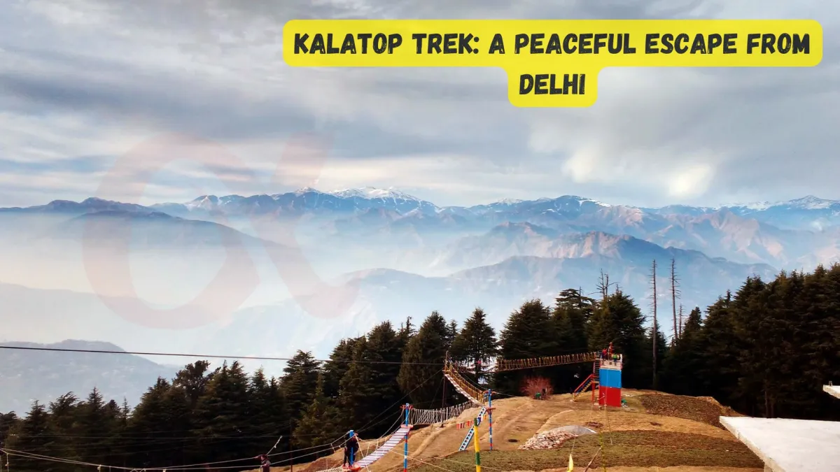 Kalatop Trek प्रकृति की गोद में एक अनोखा अनुभव